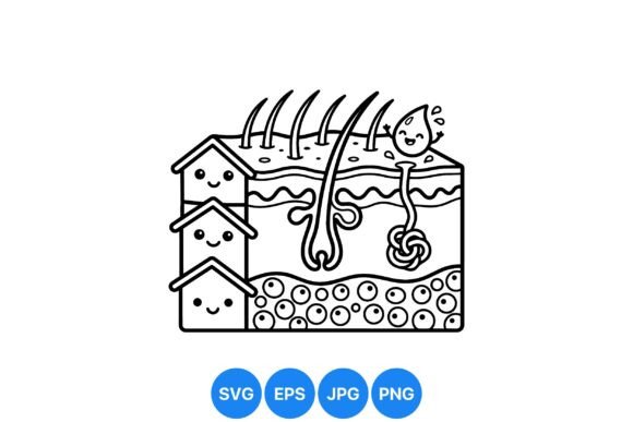 Cute Hair Follicle Diagram SVG