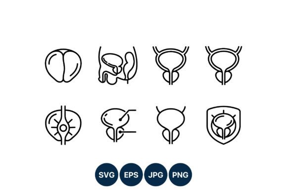 Prostate Anatomy Medical Line Art Icon